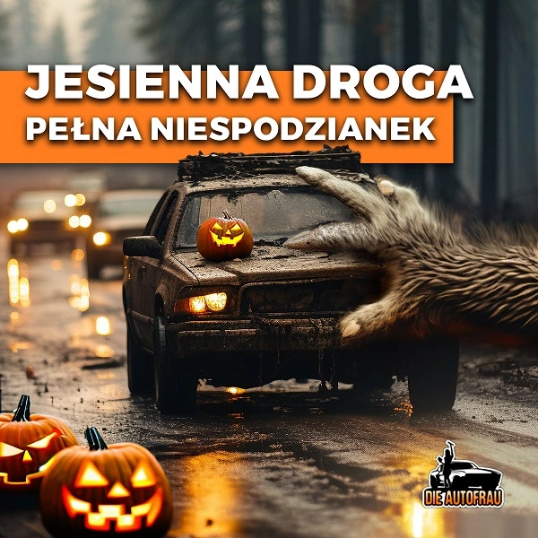 dieautofrau-paz__dziernik1